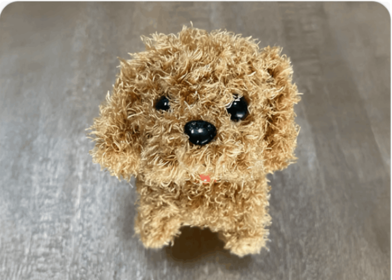 RoboPaw Robot Puppy users Steve B.